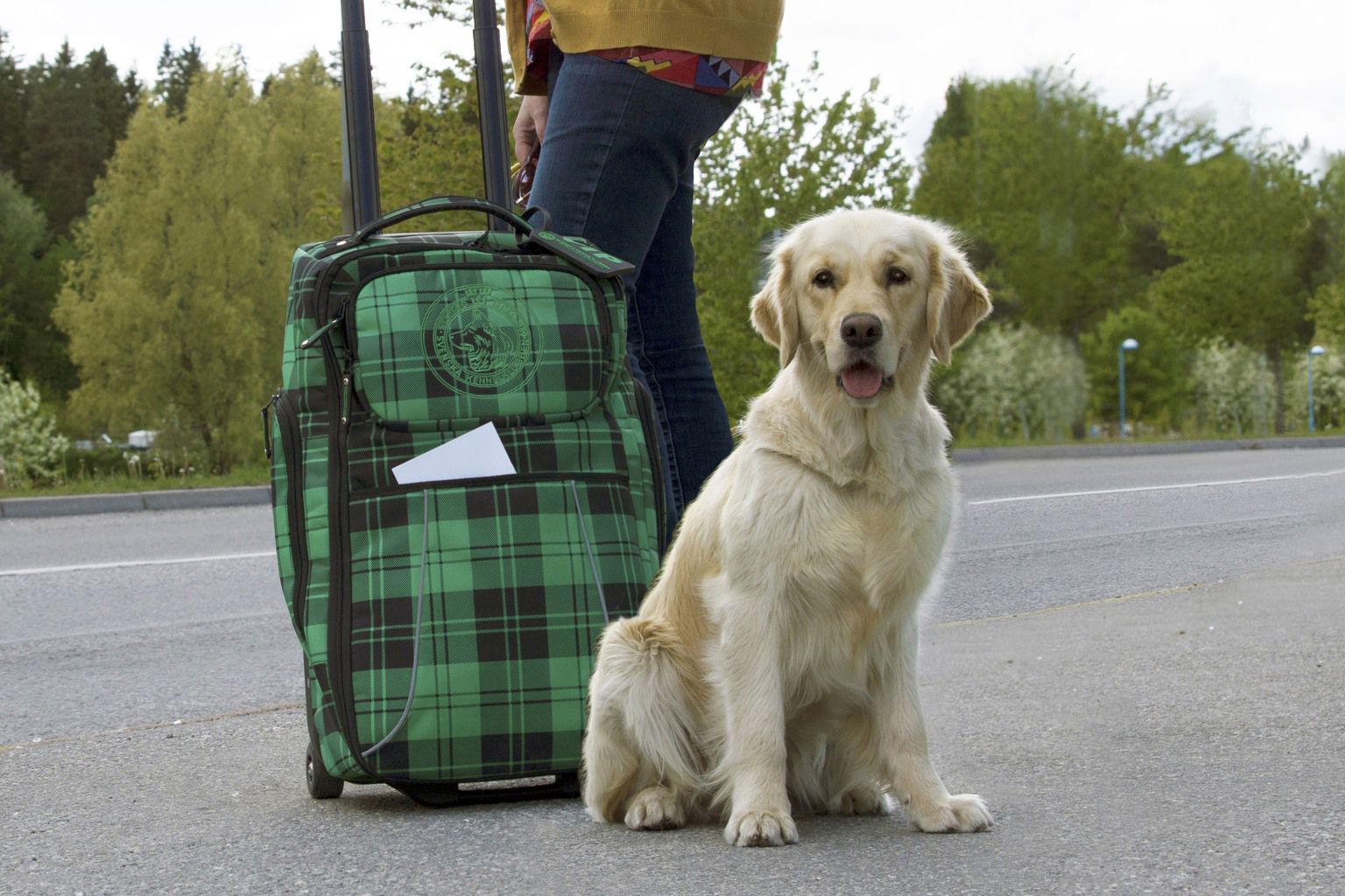 A dog sits next to a suitcase.